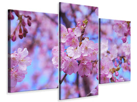 modern-3-piece-canvas-print-gorgeous-cherry-blossom