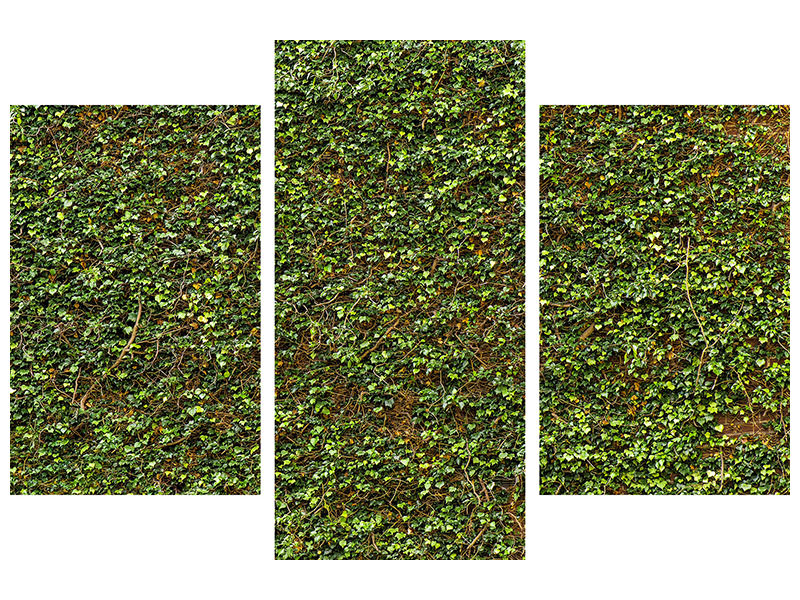 modern-3-piece-canvas-print-green-ivy-leaves-wall