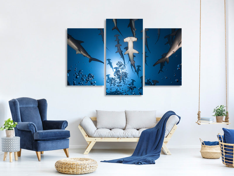 modern-3-piece-canvas-print-hammerhead-shark