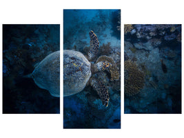 modern-3-piece-canvas-print-hawksbill-sea-turtle-ii