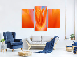modern-3-piece-canvas-print-kensaki-tulip