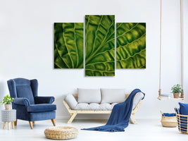 modern-3-piece-canvas-print-leaf-of-a-hosta