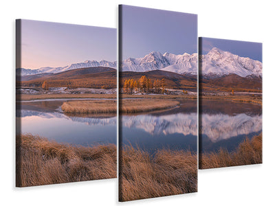 panoramic-canvas-print-the-seagulls-and-the-sea-at-sunrise