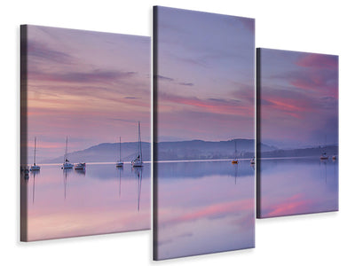 panoramic-canvas-print-the-seagulls-and-the-sea-at-sunrise