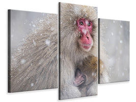 modern-3-piece-canvas-print-mothers-warmth