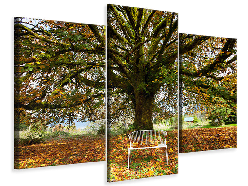 modern-3-piece-canvas-print-my-favorite-tree