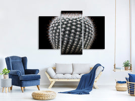 modern-3-piece-canvas-print-notocactus-scopa-ii