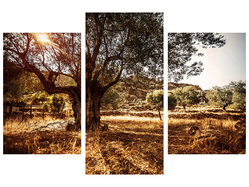 modern-3-piece-canvas-print-olive-grove