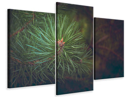 modern-3-piece-canvas-print-pine-tree-close-up