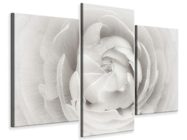 modern-3-piece-canvas-print-ranunculus