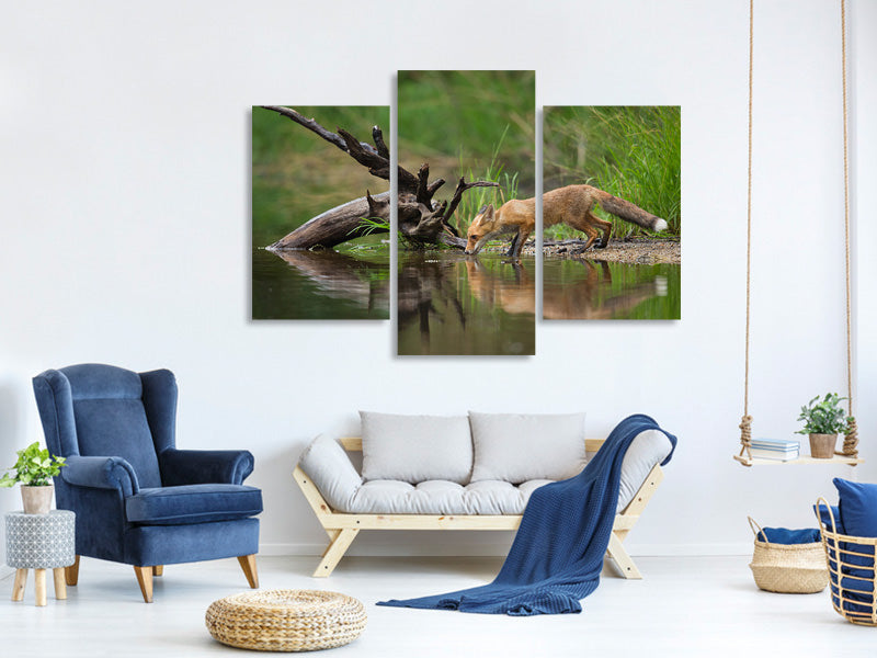 modern-3-piece-canvas-print-red-fox-ii