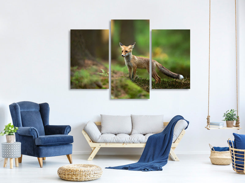 modern-3-piece-canvas-print-red-fox