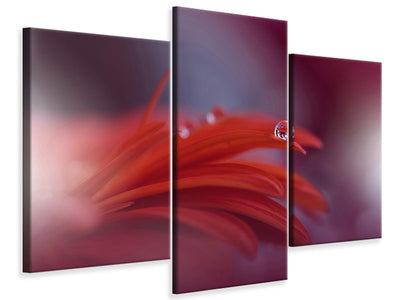 modern-3-piece-canvas-print-red-passion