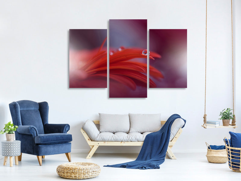 modern-3-piece-canvas-print-red-passion