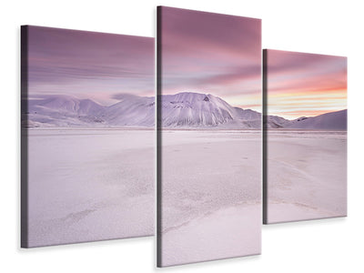 panoramic-canvas-print-the-seagulls-and-the-sea-at-sunrise