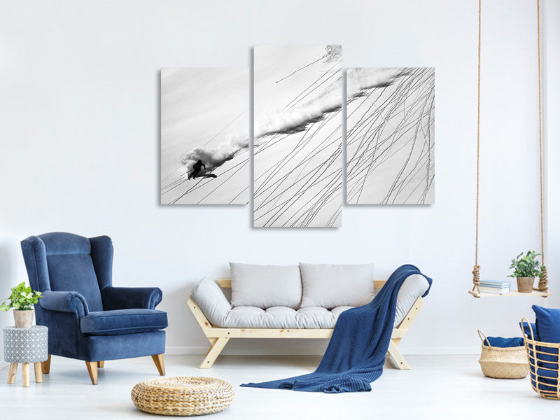 modern-3-piece-canvas-print-skiing-powder