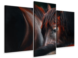 modern-3-piece-canvas-print-sleep-huddle