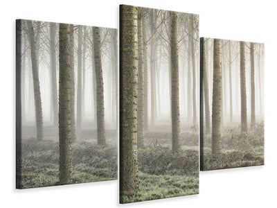 panoramic-canvas-print-the-seagulls-and-the-sea-at-sunrise