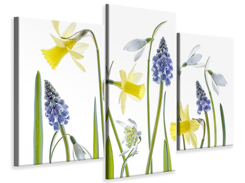 modern-3-piece-canvas-print-spring