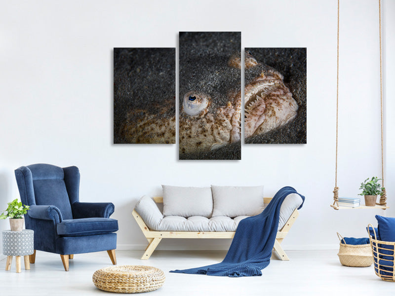 modern-3-piece-canvas-print-stargazer