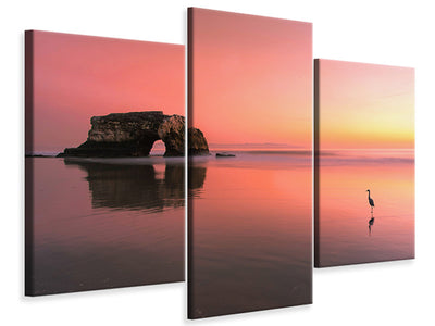 panoramic-canvas-print-the-seagulls-and-the-sea-at-sunrise
