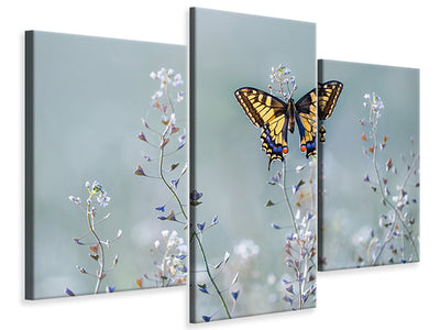modern-3-piece-canvas-print-swallowtail-beauty