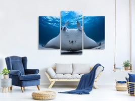 modern-3-piece-canvas-print-take-off-manta-airline