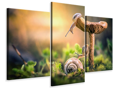 modern-3-piece-canvas-print-the-awakening-of-snails