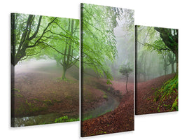 modern-3-piece-canvas-print-the-forest-maravillador-iii