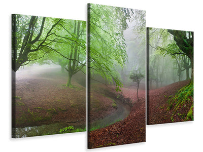 modern-3-piece-canvas-print-the-forest-maravillador-iii