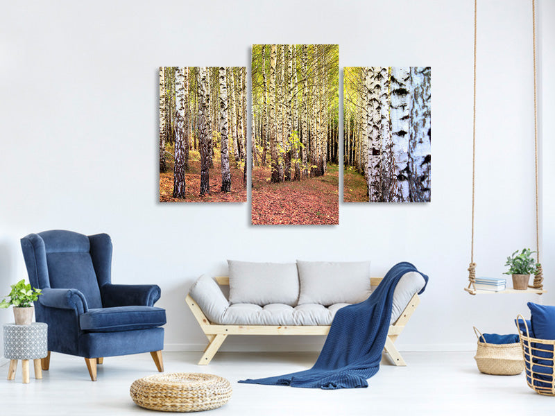 modern-3-piece-canvas-print-the-path-between-birches