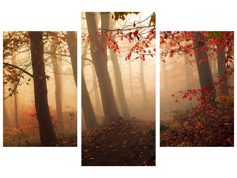modern-3-piece-canvas-print-towards-the-light