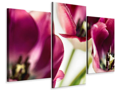 modern-3-piece-canvas-print-tulip-iv