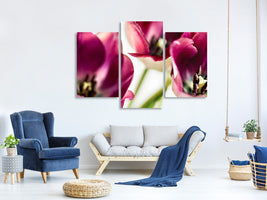 modern-3-piece-canvas-print-tulip-iv