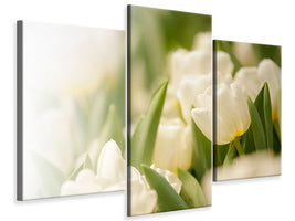 modern-3-piece-canvas-print-tulips-perspective