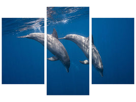 modern-3-piece-canvas-print-two-bottlenose-dolphins