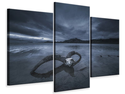 panoramic-canvas-print-the-seagulls-and-the-sea-at-sunrise