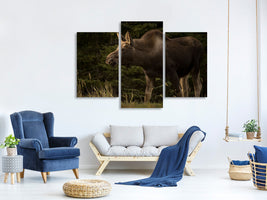 modern-3-piece-canvas-print-young-moose-on-the-loose