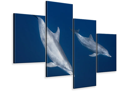 modern-4-piece-canvas-print-bottlenose-dolphins