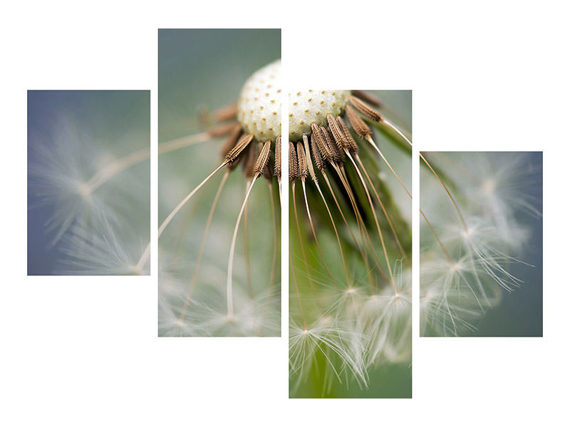 modern-4-piece-canvas-print-dandelion-close-up