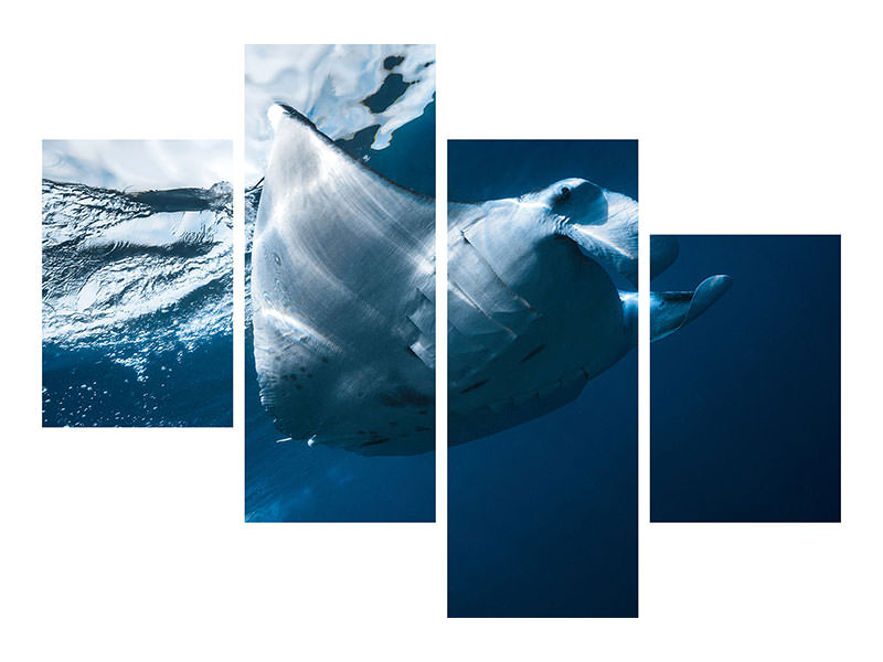 modern-4-piece-canvas-print-flying-manta-ray