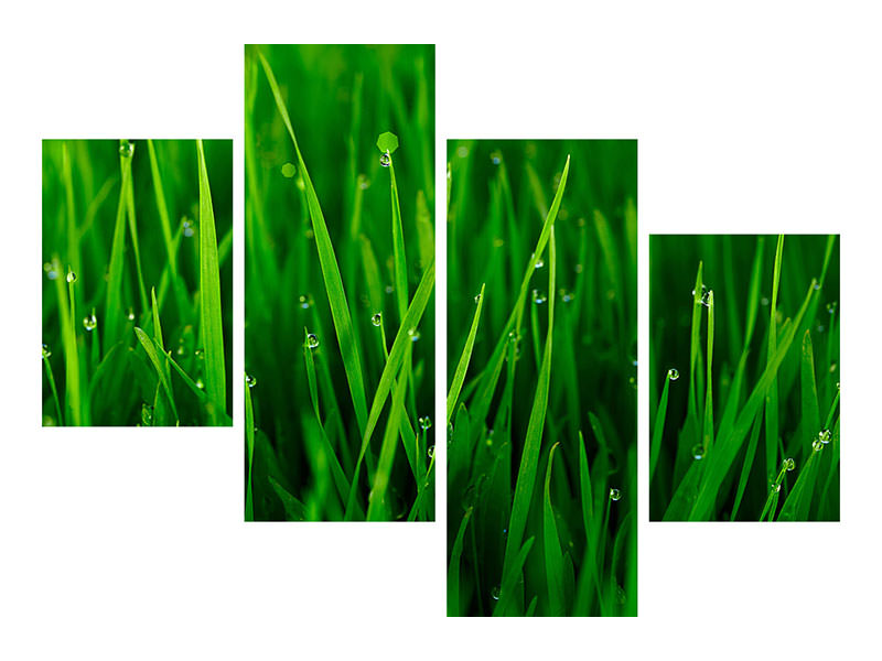 modern-4-piece-canvas-print-grass-with-morning-dew