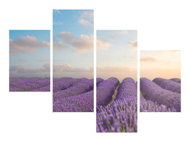 modern-4-piece-canvas-print-the-blooming-lavender-field