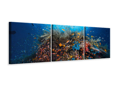 panoramic-3-piece-canvas-print-apnea