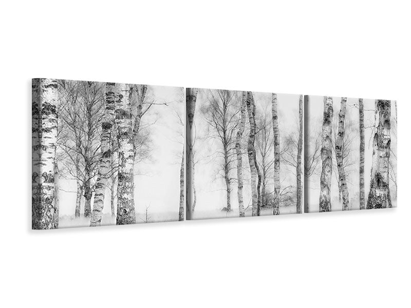 panoramic-3-piece-canvas-print-black-and-white