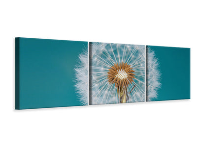 panoramic-3-piece-canvas-print-dandelion-a