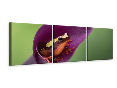 panoramic-3-piece-canvas-print-frog-cubby-house