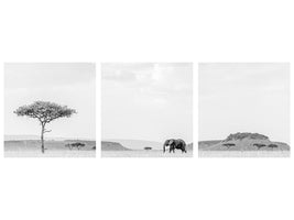 panoramic-3-piece-canvas-print-high-key-savannah