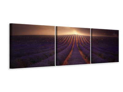 panoramic-canvas-print-the-seagulls-and-the-sea-at-sunrise