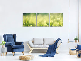 panoramic-3-piece-canvas-print-in-the-meadow